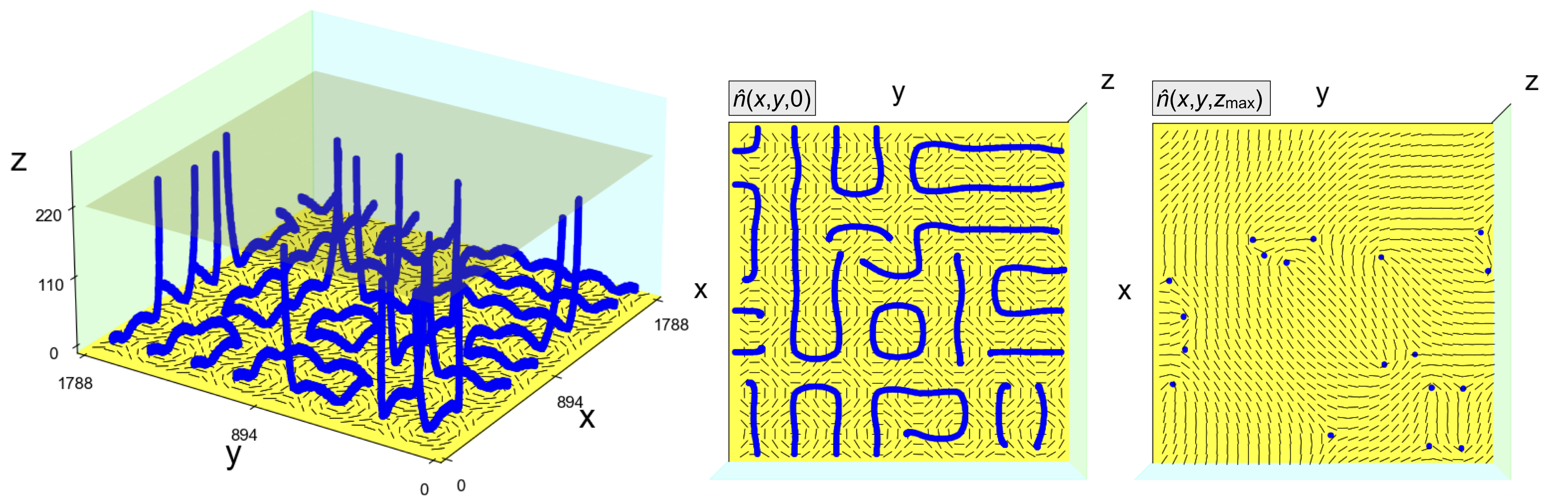 Micron-scale patterning of complex defect configurations